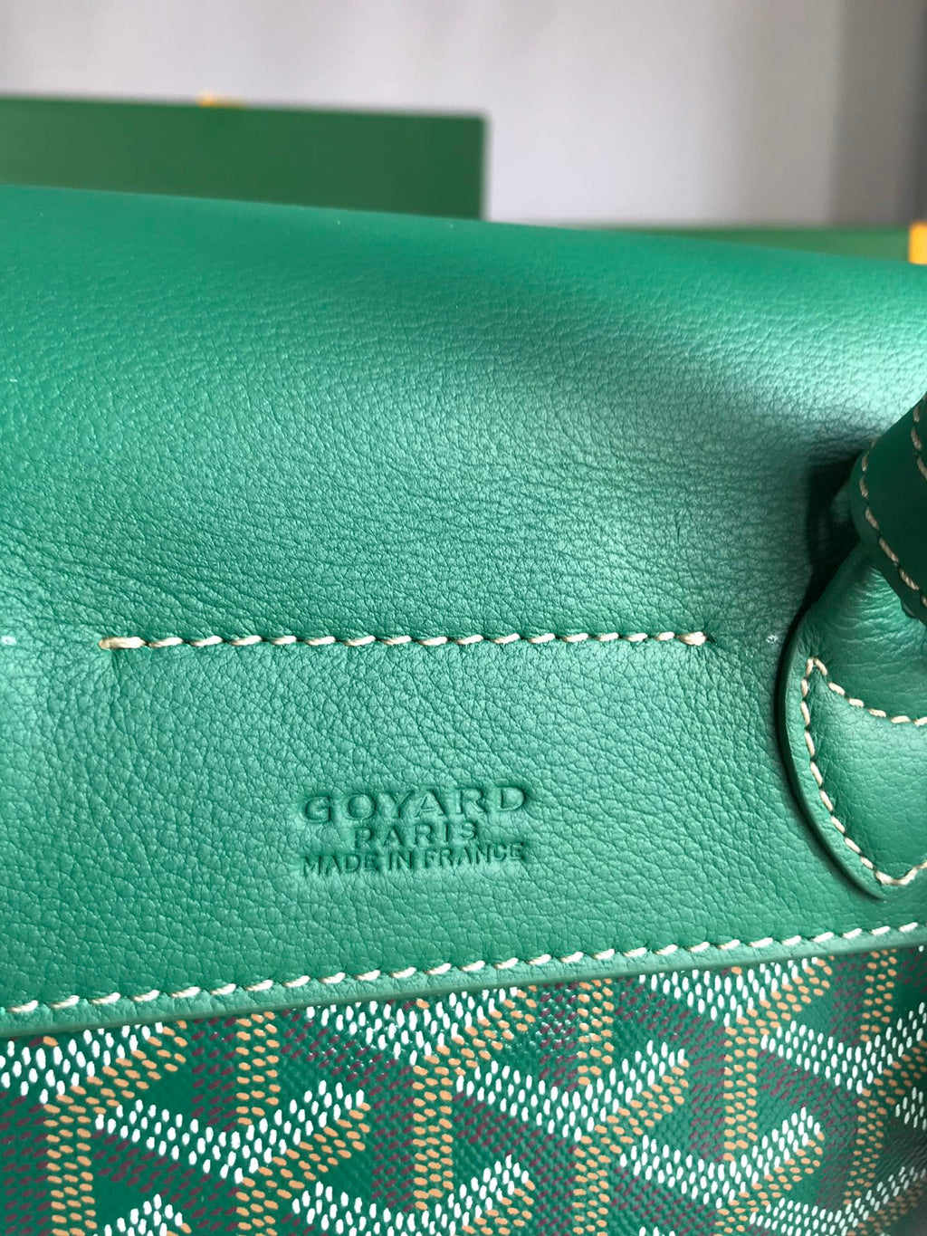 GOYARD ALPIN MINI BACKPACK 21 IN GREEN LAMBSKIN AND GOYARDINE CANVAS