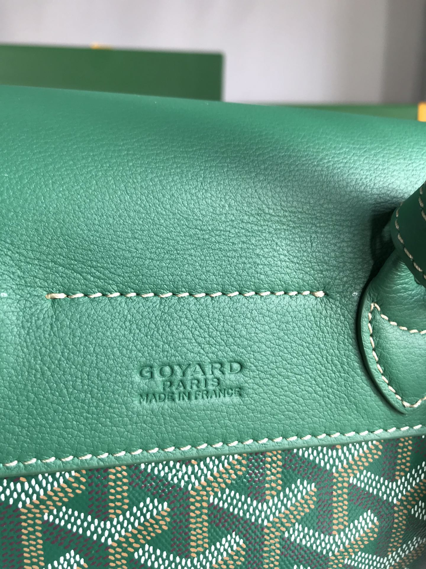 GOYARD ALPIN MINI BACKPACK 21 IN GREEN LAMBSKIN AND GOYARDINE CANVAS