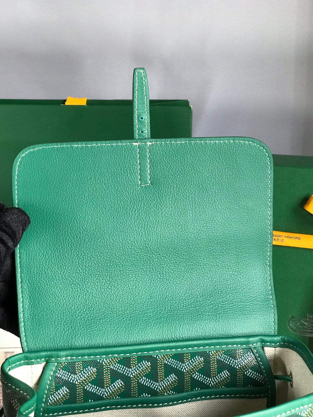 GOYARD ALPIN MINI BACKPACK 21 IN GREEN LAMBSKIN AND GOYARDINE CANVAS