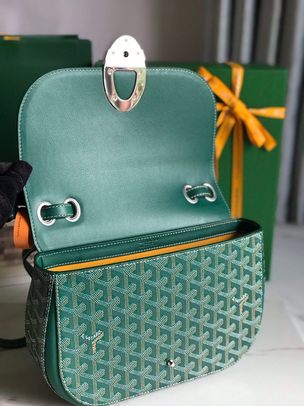 GOYARD 233 BAG 25 IN GREEN CALFKIN AND GOYARDINE CANVAS