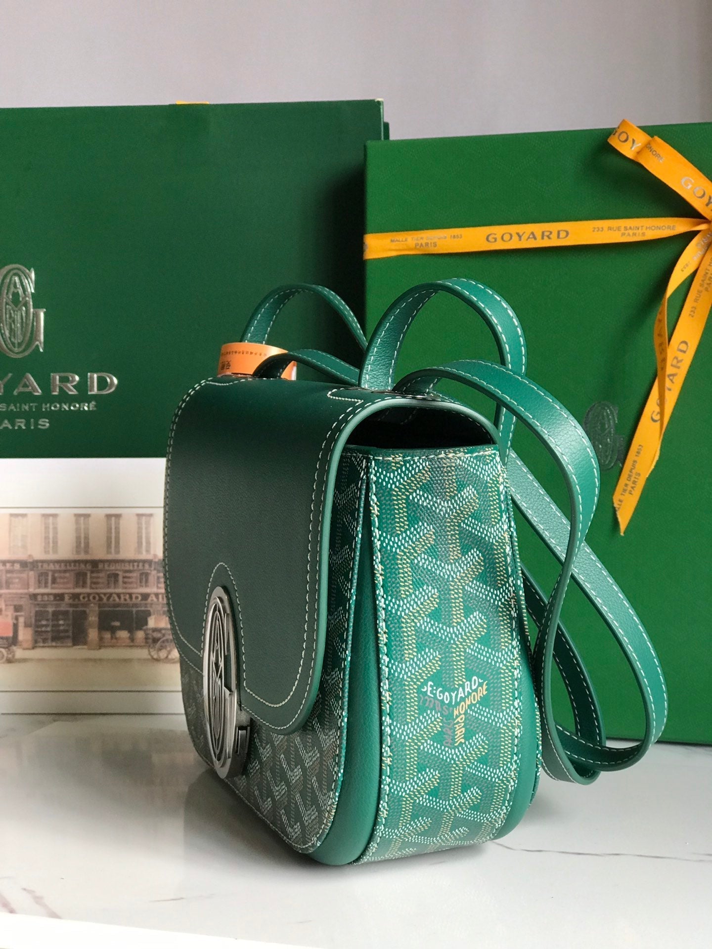 GOYARD 233 BAG 25 IN GREEN CALFKIN AND GOYARDINE CANVAS
