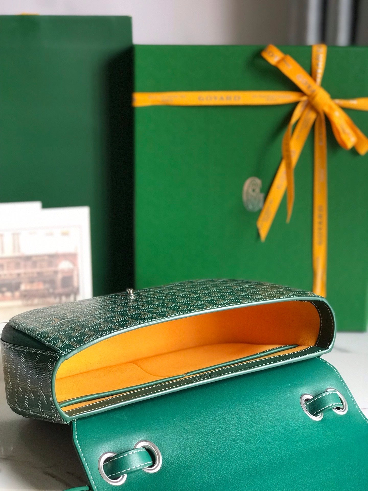 GOYARD 233 BAG 25 IN GREEN CALFKIN AND GOYARDINE CANVAS