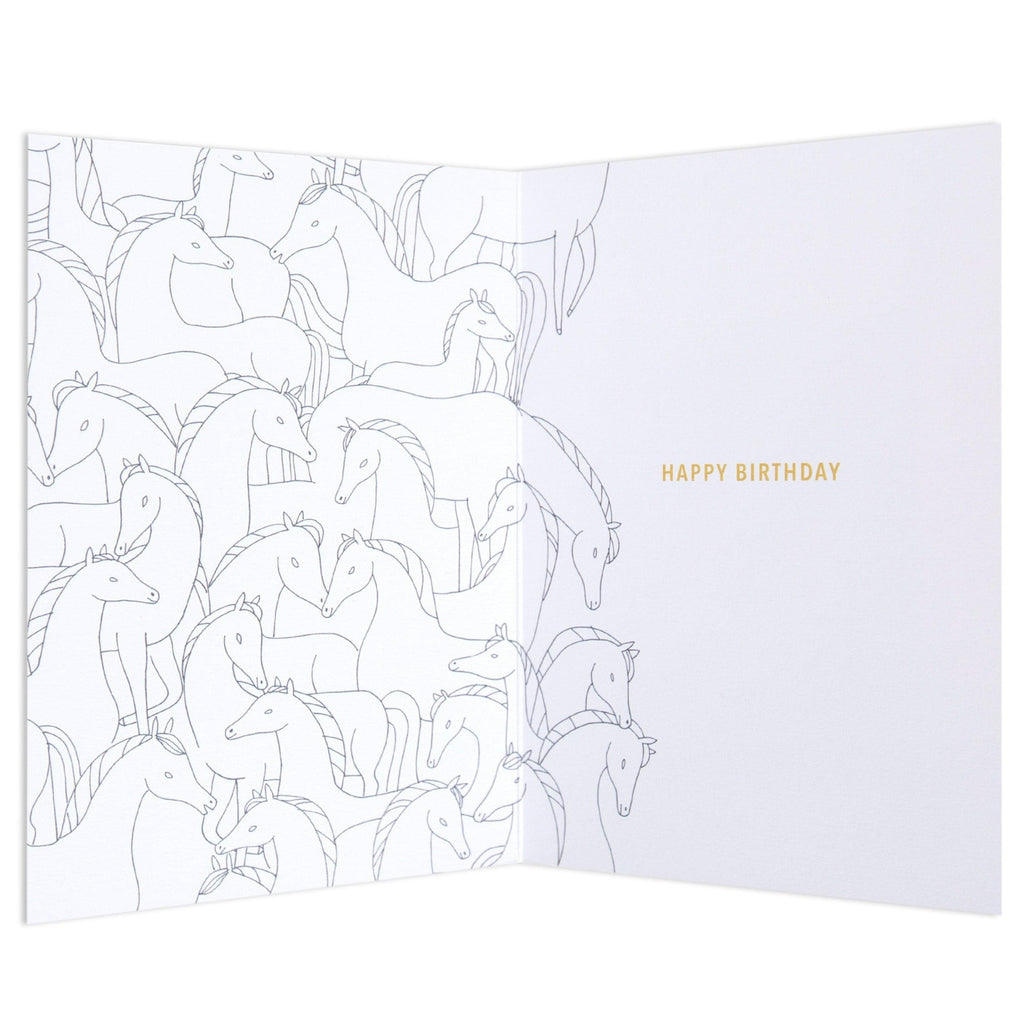 Fun Zebra Birthday Card
