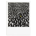 Cute Penguin Birthday Card