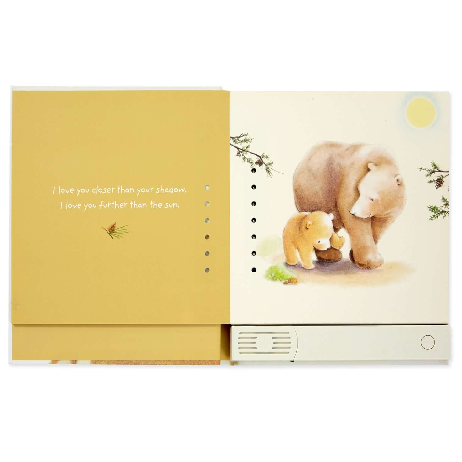 All The Ways I Love You Recordable Storybook