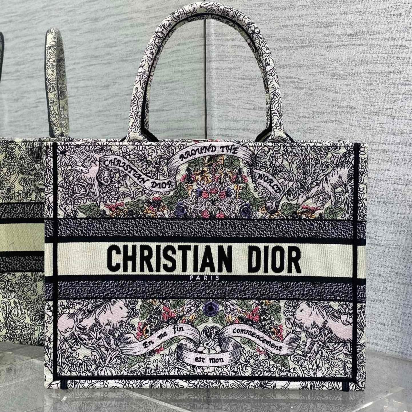 DIOR MEIDUM 36 BOOK TOTE IN COLORFUL CANVAS 226290